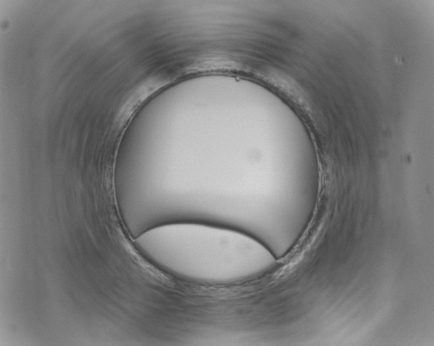X0000076250937200609280944