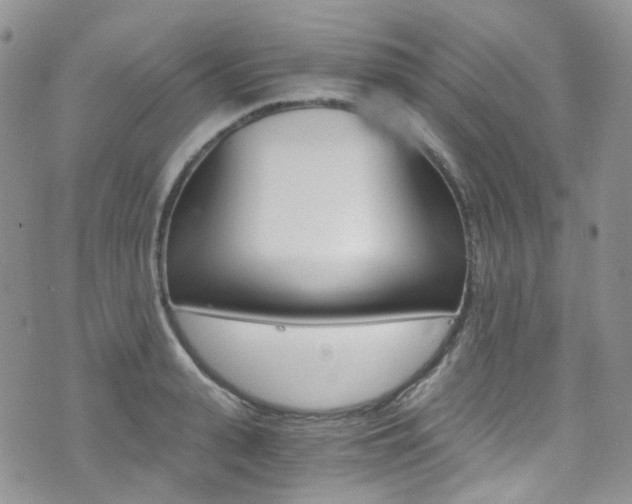 X0000076250943200609280944