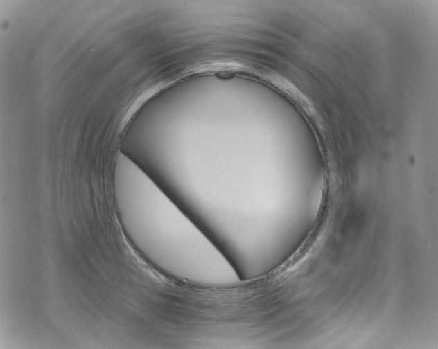 X0000076250945200609280944