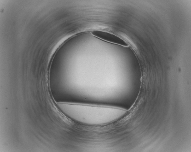 X0000076250948200609280944