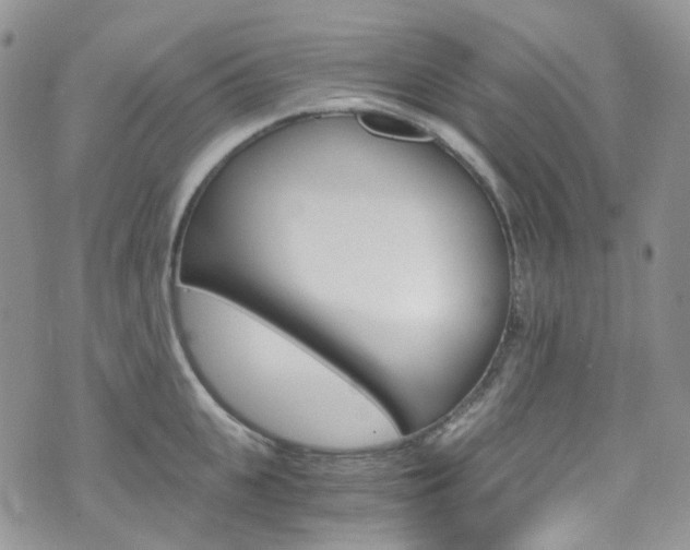 X0000076250951200609280944