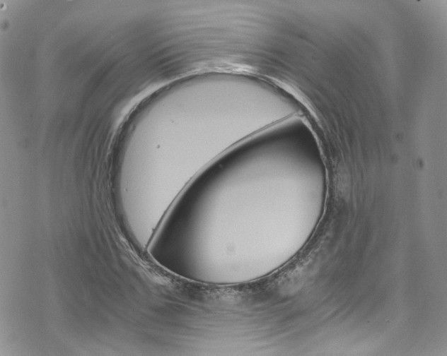 X0000076250971200609280943