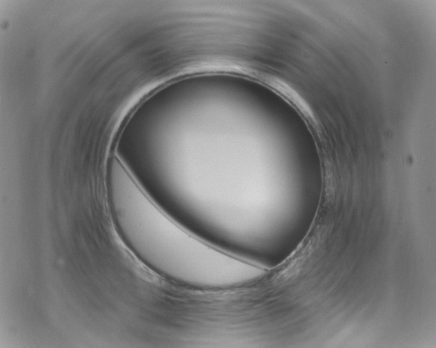 X0000076250996200609280943