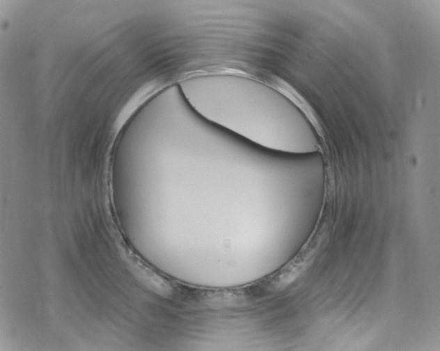 X0000076251002200609280943