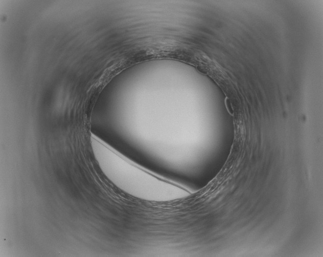 X0000076251012200609280942