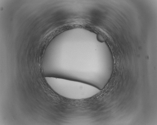 X0000076251015200609280942