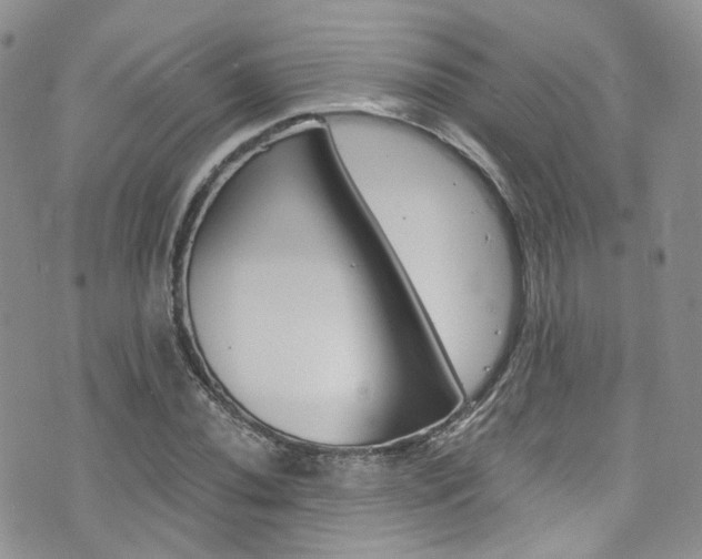 X0000076251020200609280942