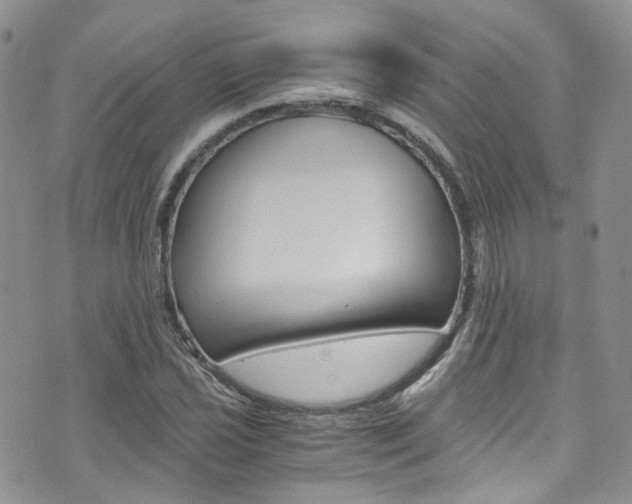 X0000076251021200609280942
