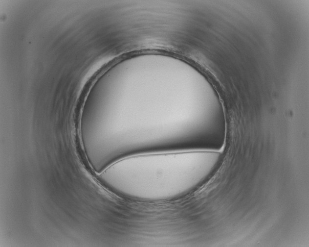 X0000076251024200609280942