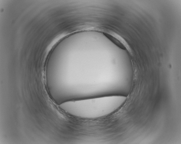 X0000076251051200609280943