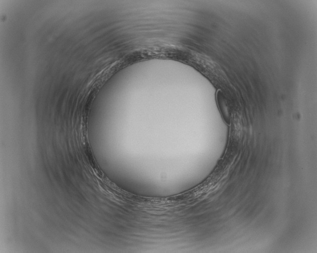 X0000076251060200609280942