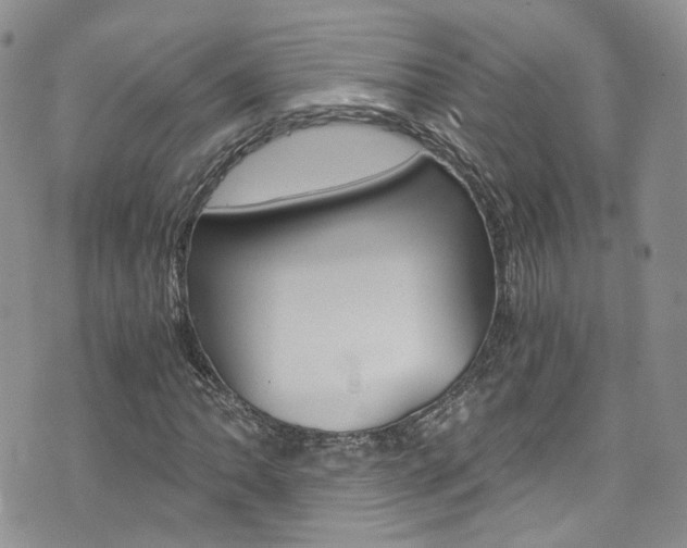 X0000076251062200609280942