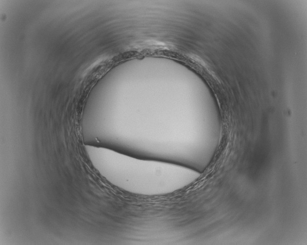 X0000076251063200609280942