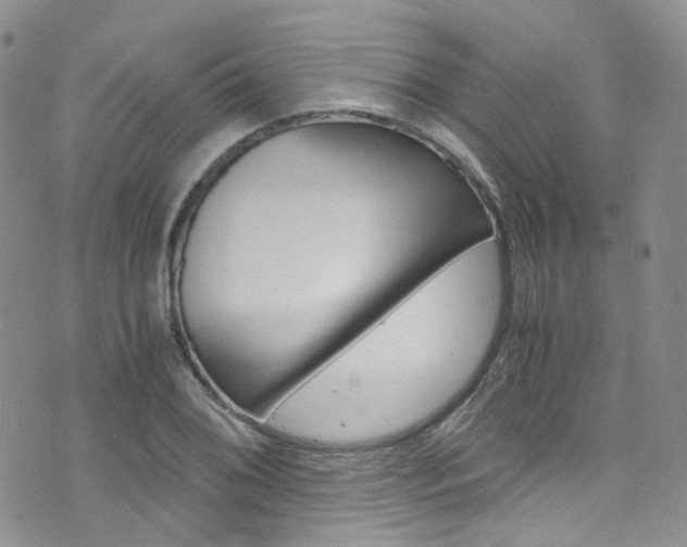 X0000076251076200609280942