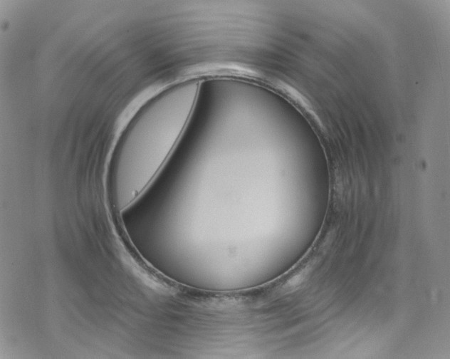 X0000076251082200609280941