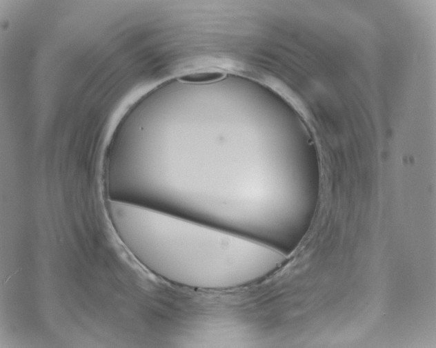 X0000076251104200609280941