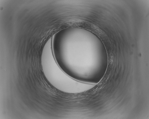 X0000076251108200609280940