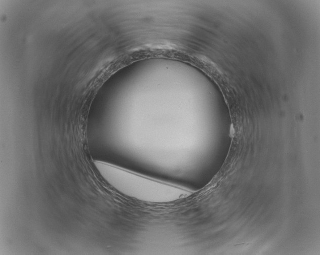 X0000076251110200609280940