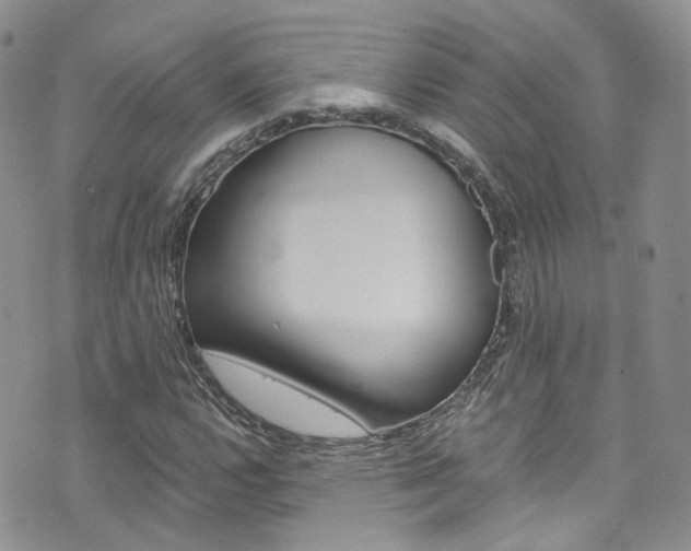 X0000076251112200609280940