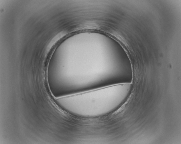 X0000076251119200609280941