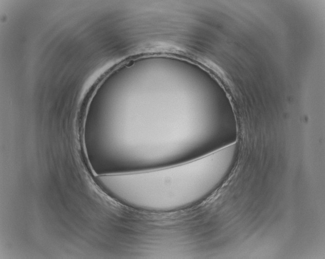 X0000076251120200609280941
