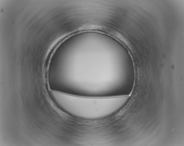 X0000076251124200609280941