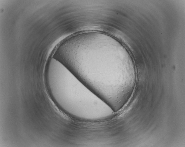 X0000076251125200609280941