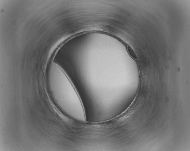 X0000076251127200609280941