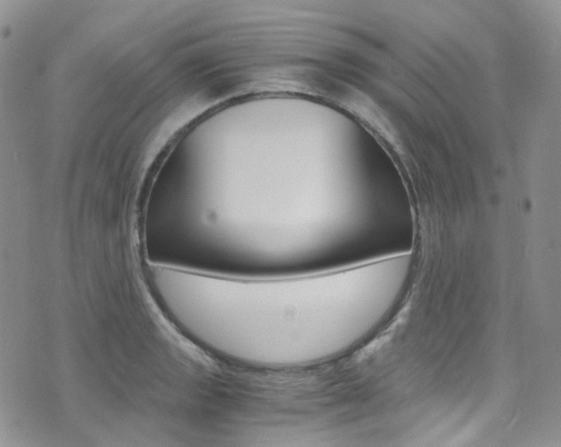 X0000076251133200609280941