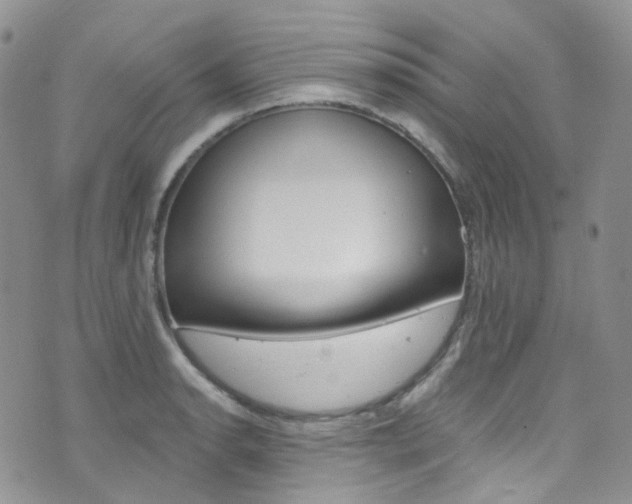 X0000076251134200609280941
