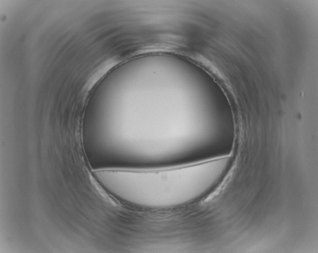 X0000076251137200609280941