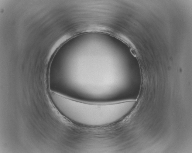 X0000076251138200609280941