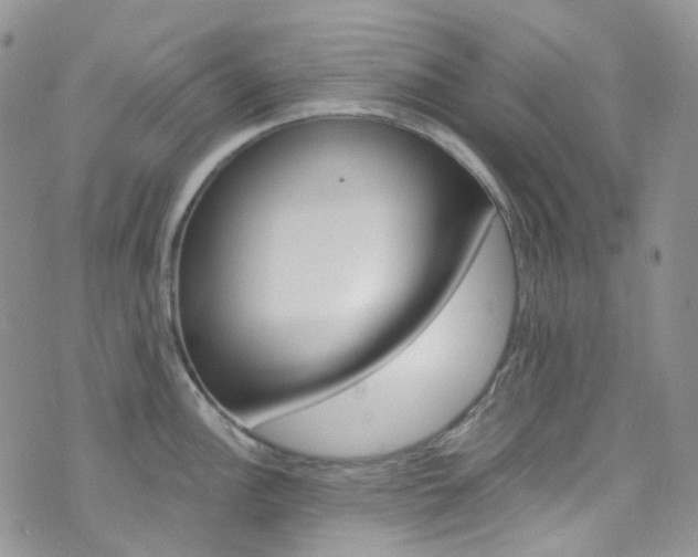 X0000076251148200609280941