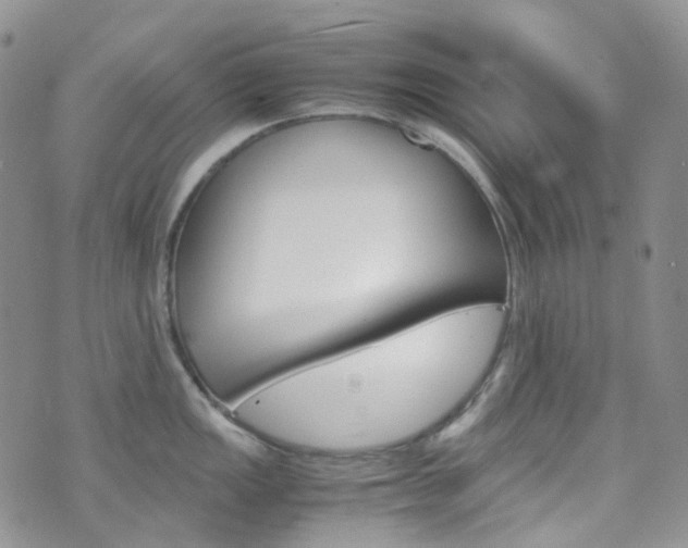 X0000076251149200609280941