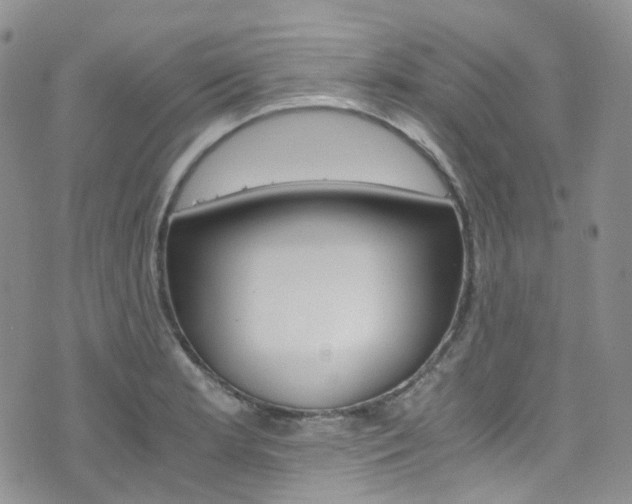 X0000076251181200609280940