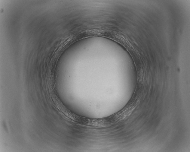 X0000076251201200609280939