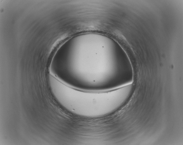 X0000076251218200609280939