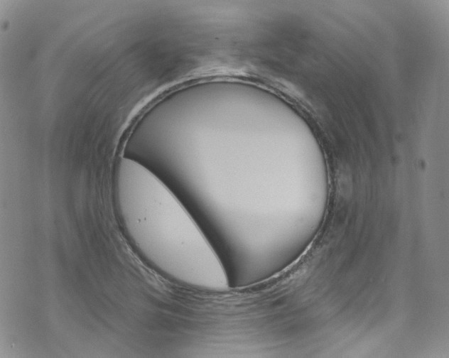 X0000076251220200609280939