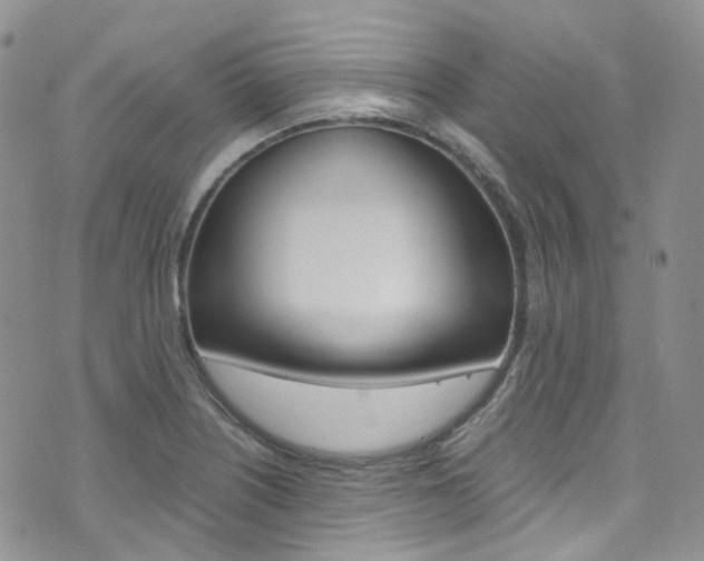 X0000076251226200609280939