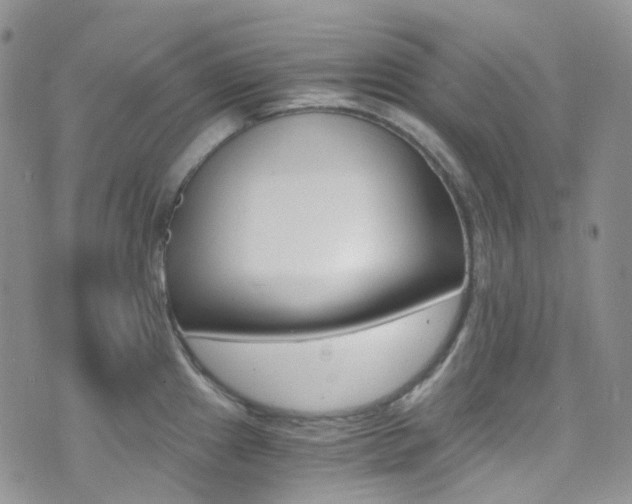 X0000076251241200609280939