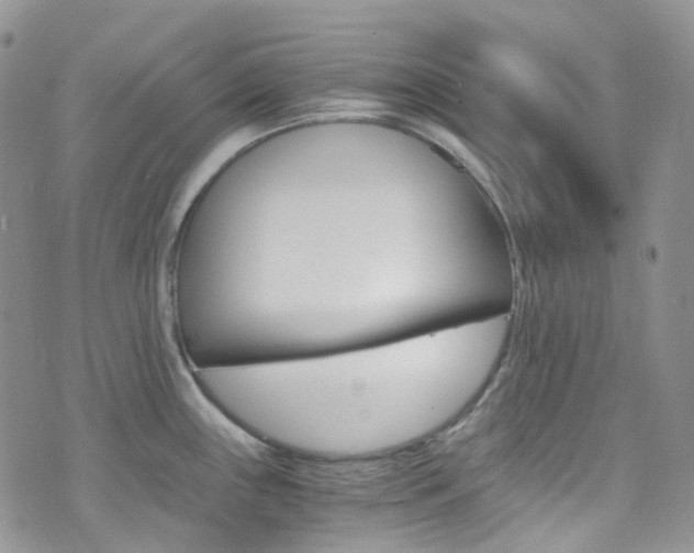 X0000076251243200609280939