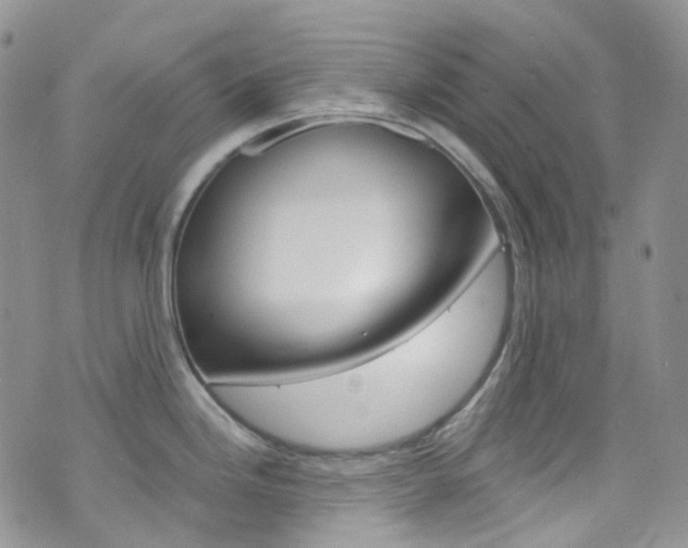 X0000076251246200609280939
