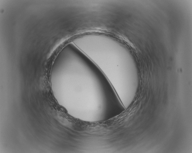 X0000076251256200609280939
