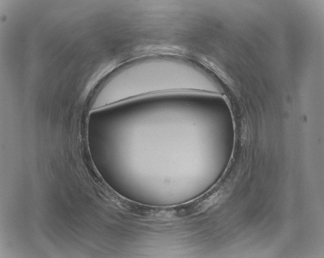 X0000076251261200609280939