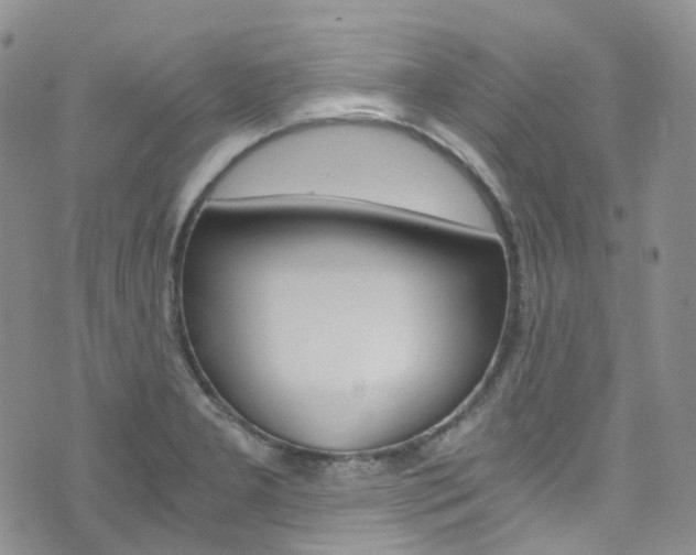X0000076251277200609280938
