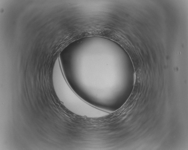X0000076251298200609280937