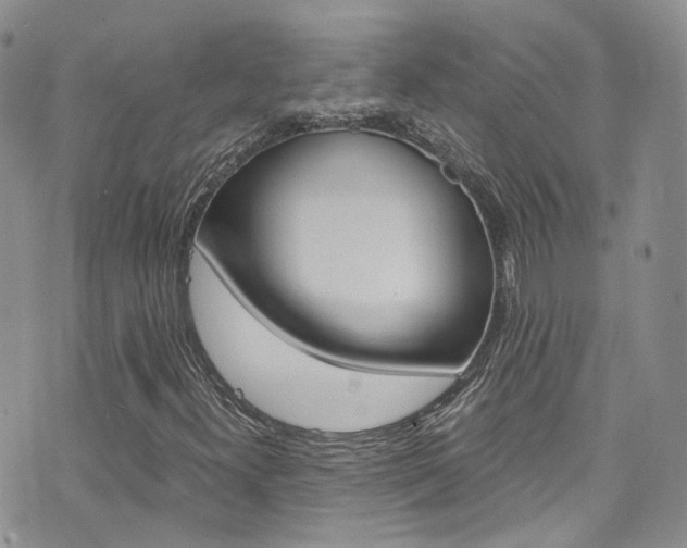 X0000076251300200609280937