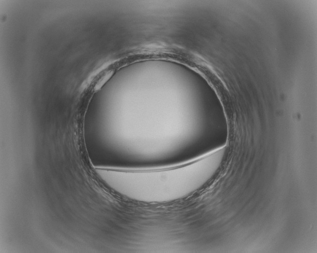 X0000076251304200609280937