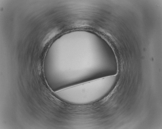 X0000076251306200609280937