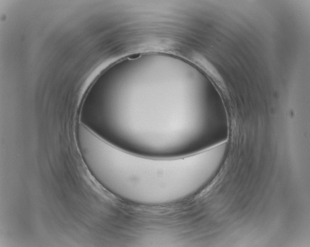 X0000076251340200609280938